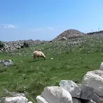 Srdoc 아파트 *